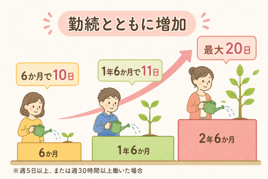 就労継続支援A型の有給休暇の付与日数が勤続年数に応じて増える仕組みの図解